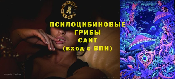шишки Алексеевка