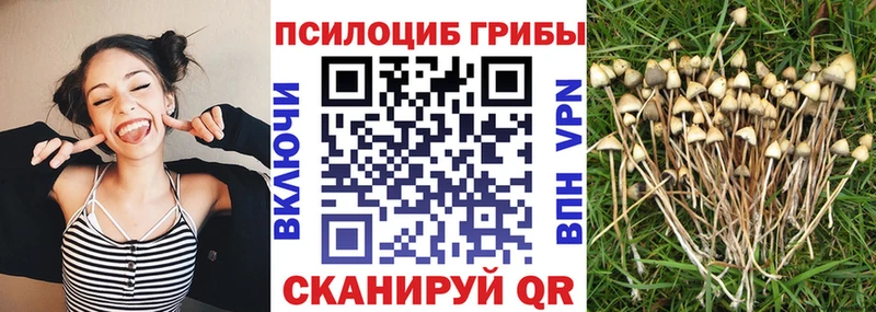 Псилоцибиновые грибы мухоморы  Южно-Сухокумск 
